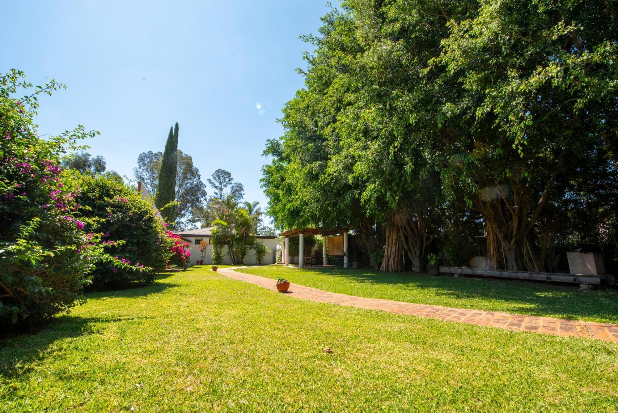 Villa Borghese Hotel Boutique - Adults Only Oaxaca Ngoại thất bức ảnh